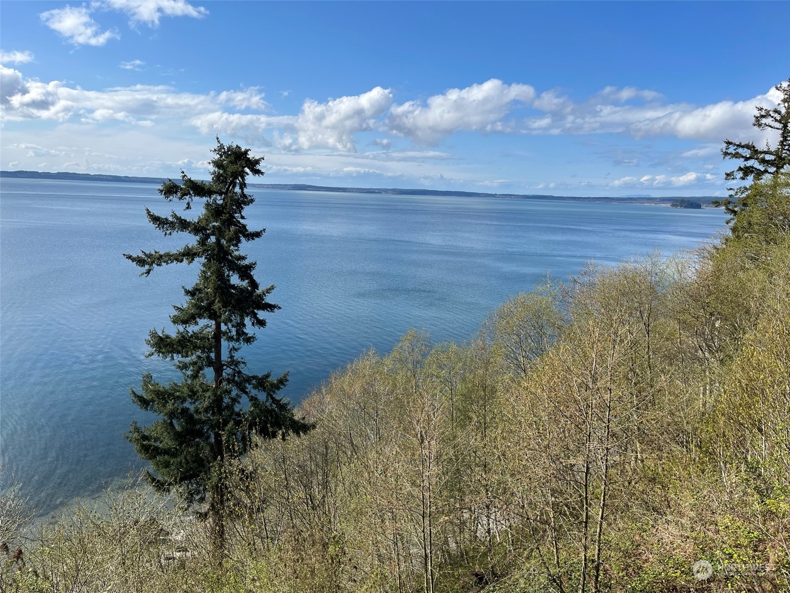 509 Spring Street Camano Island, WA 98282 - Photo 27 of 28 a view of a lake