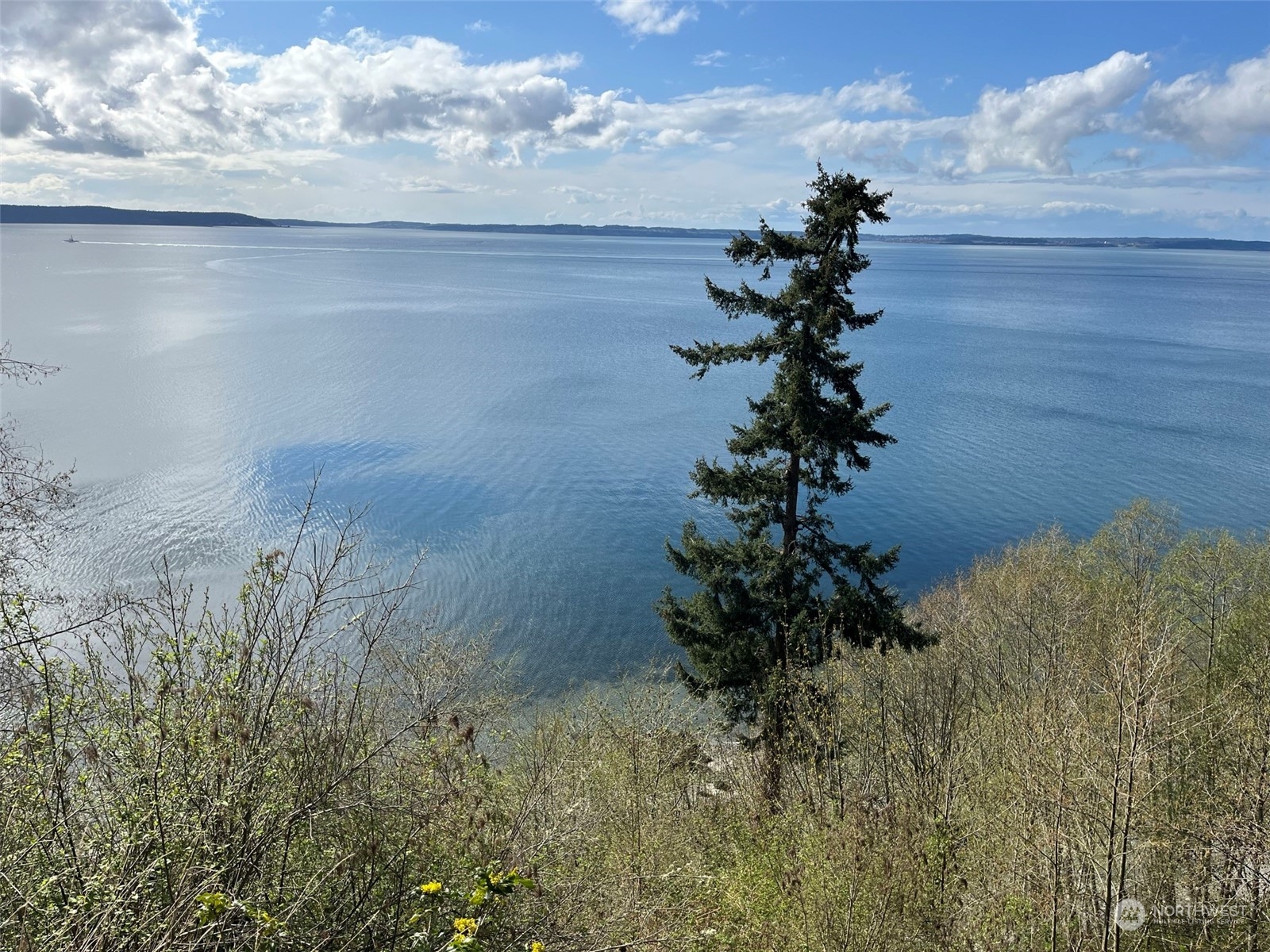 509 Spring Street Camano Island, WA 98282 - Photo 5 of 28 a view of a garden