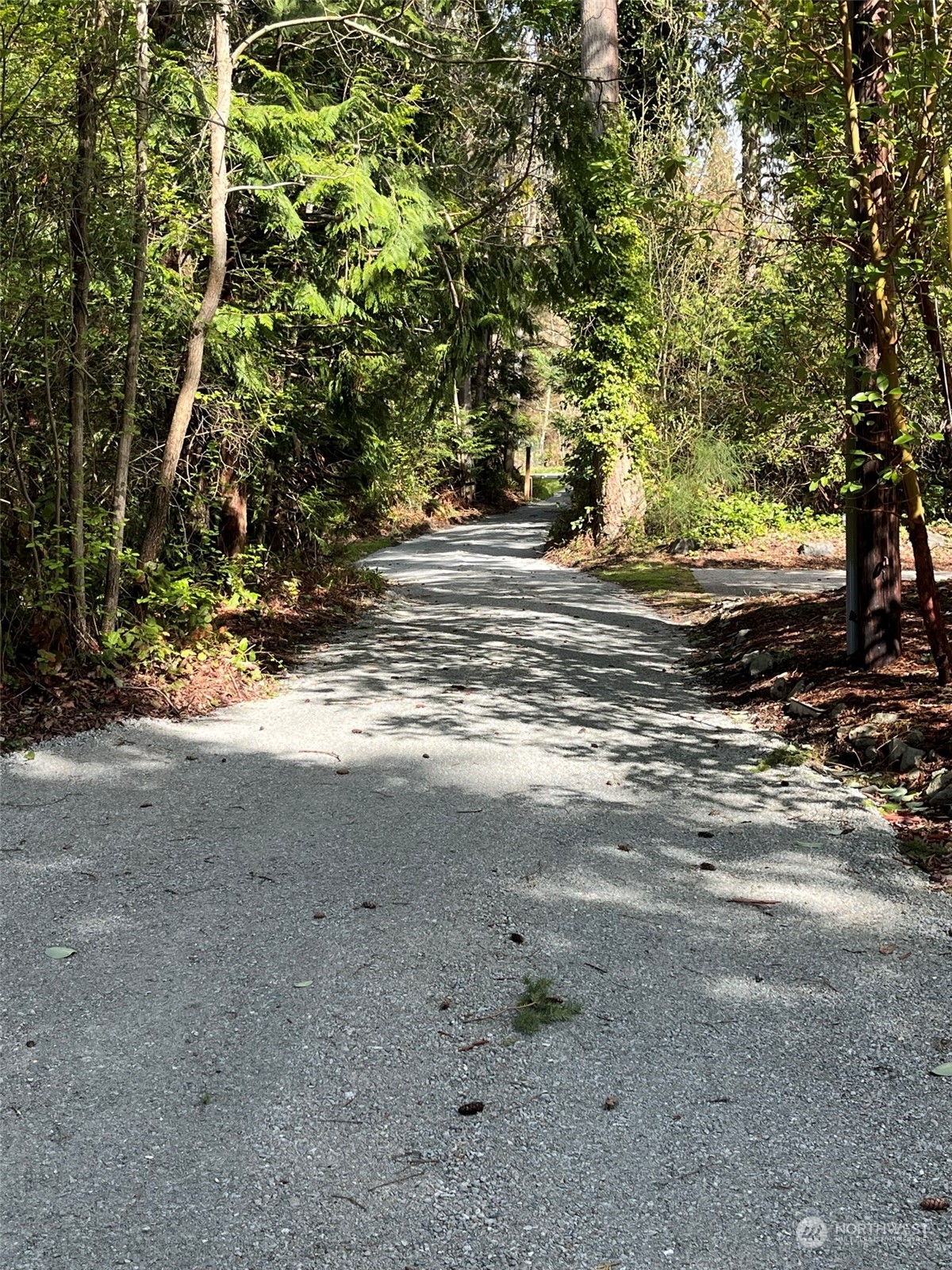 509 Spring Street Camano Island, WA 98282 - Photo 6 of 28 a view of dirt yard with a large tree