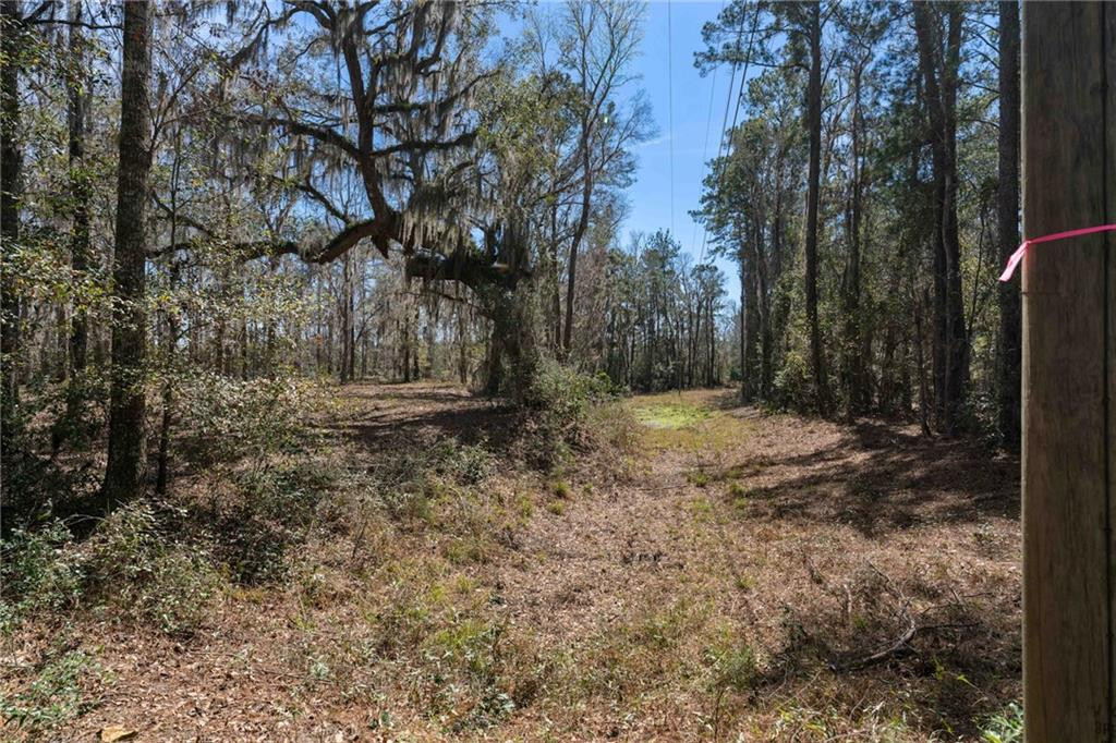 1 South Newport Road Townsend, GA 31331 - Photo 28 of 31 Photo 28