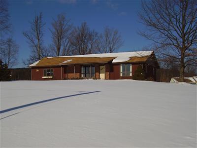 4313 County Highway Oneonta, NY 13820 - Photo 1 of 1 Large lot with many perennials for you to enjoy in the spring. Flowering trees and bushes, Cone Flowers, Iris, Lilacs to mention a few.