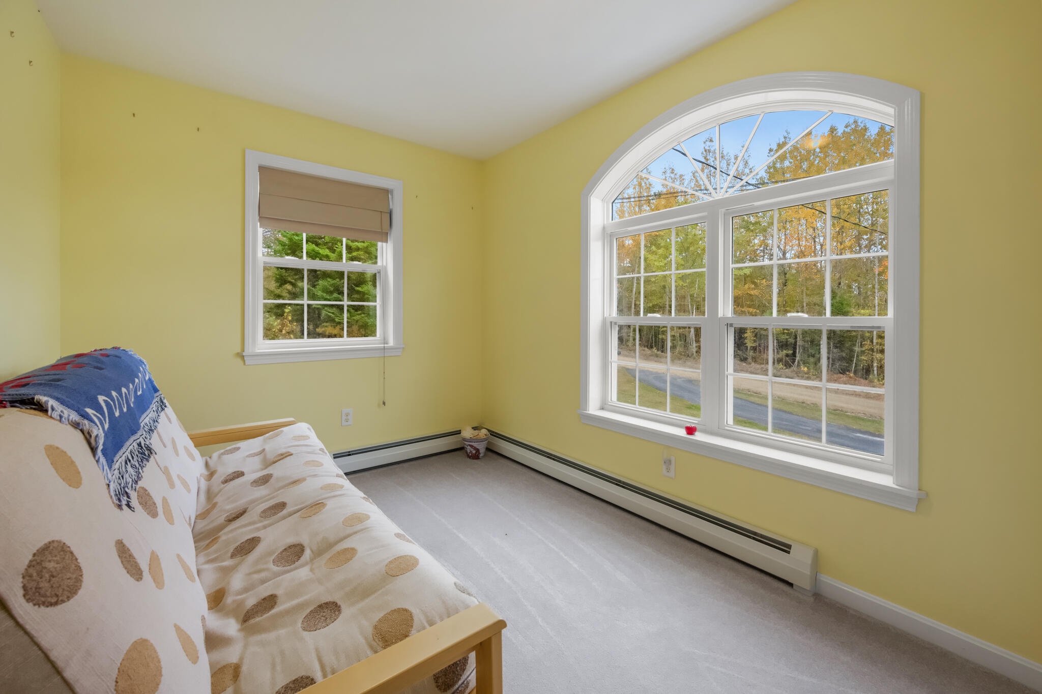 580 Half Township Road Lincoln, ME 04457 - Photo 12 of 41 DSC_8399-2