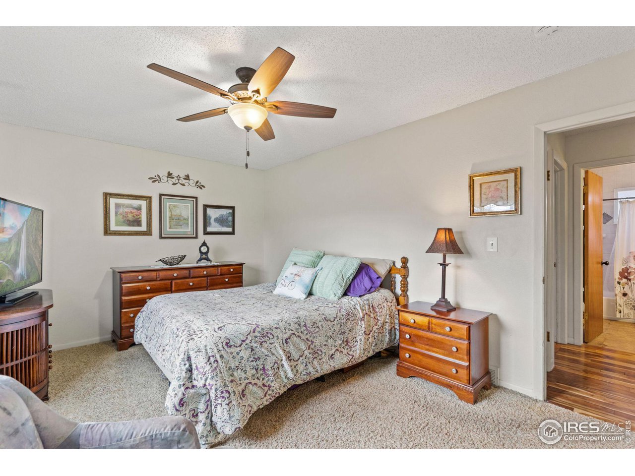 2 Spruce Court Windsor, CO 80550 - Photo 10 of 31 Generous Primary Bedroom, lots of space!