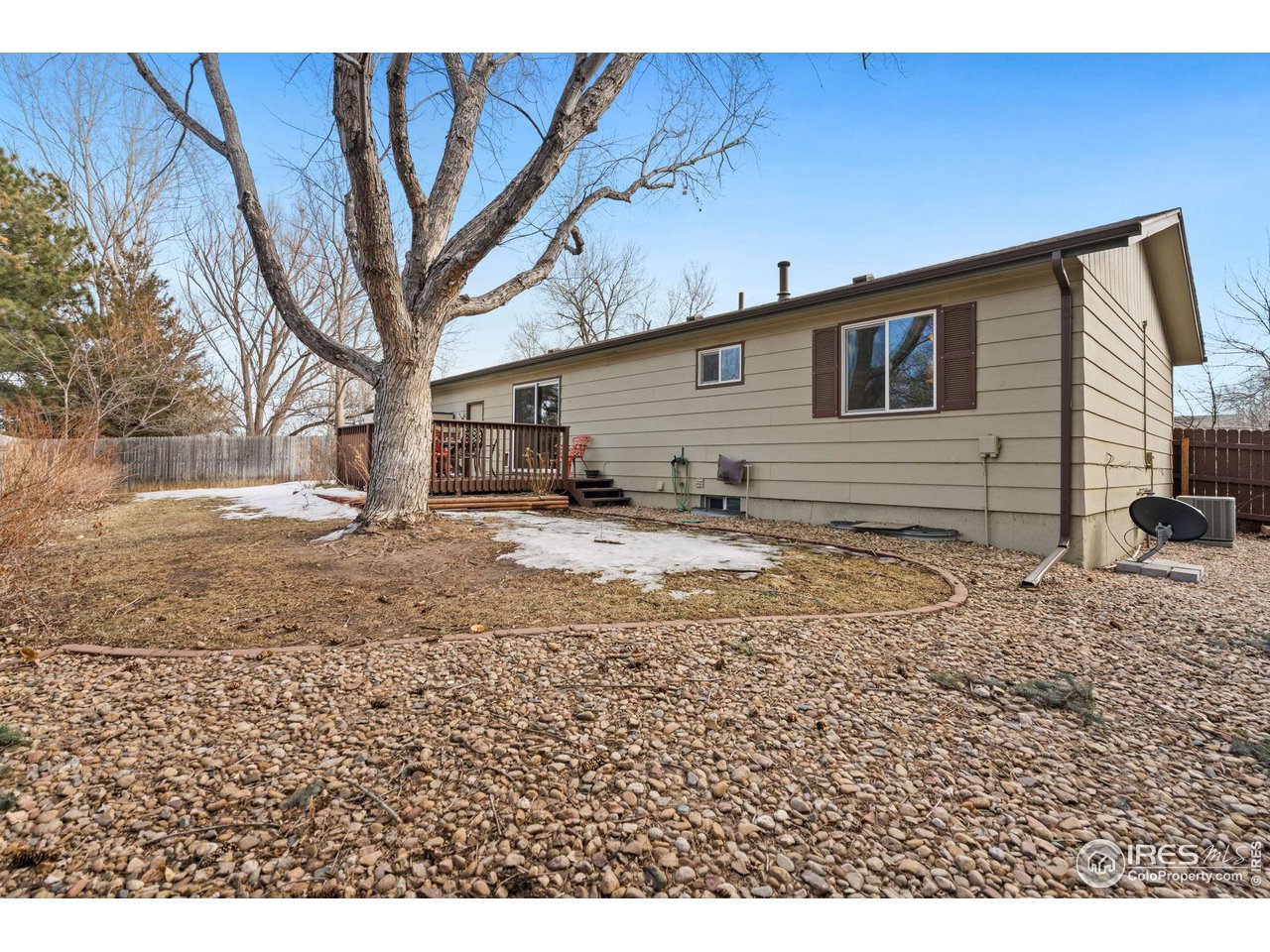 2 Spruce Court Windsor, CO 80550 - Photo 23 of 31 Backyard