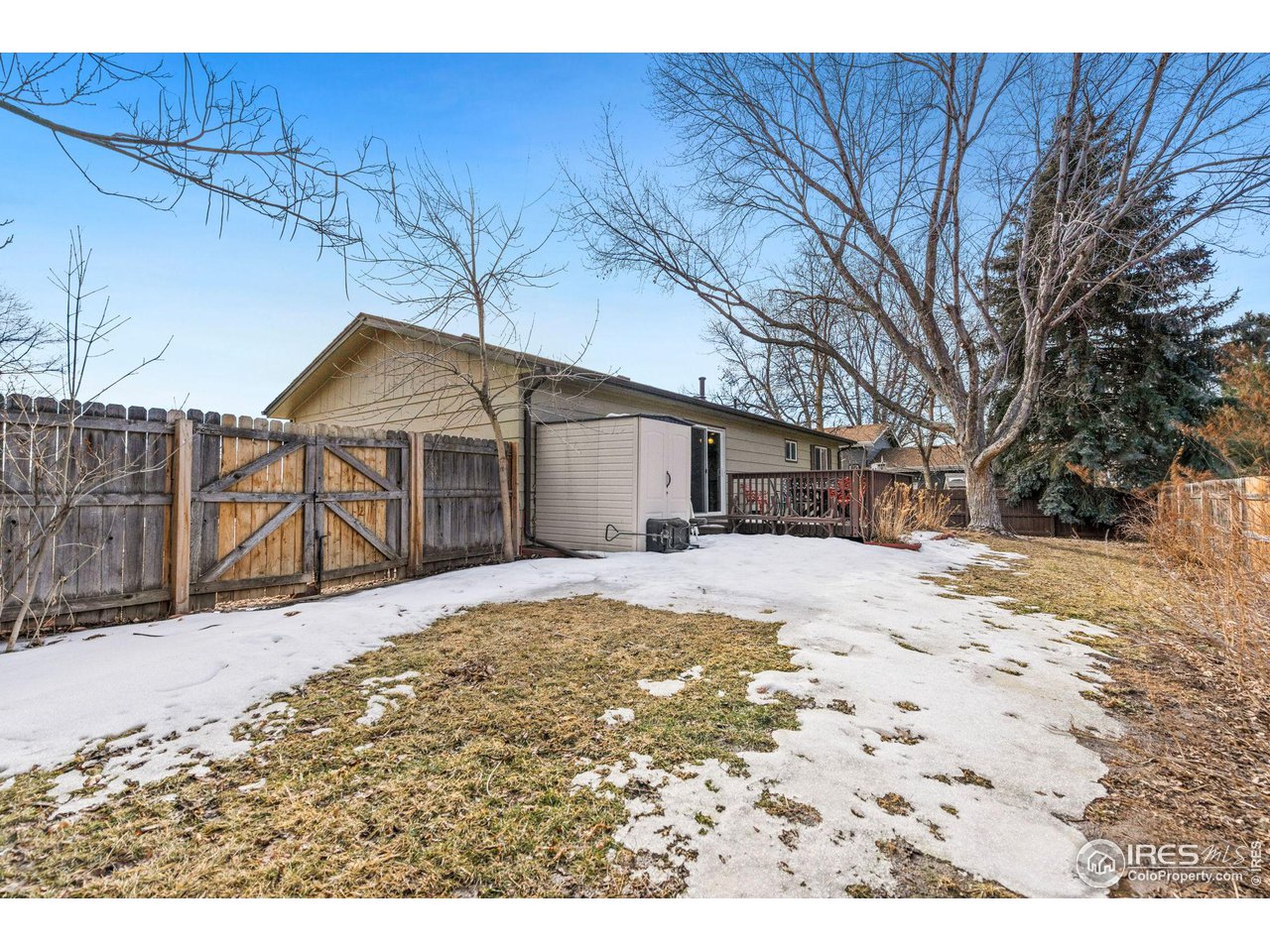 2 Spruce Court Windsor, CO 80550 - Photo 27 of 31 Shed stays with the property