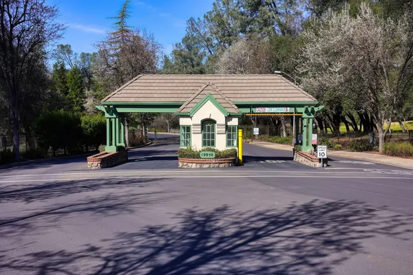 a view of park with tree s
