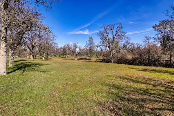 a view of big yard with a house