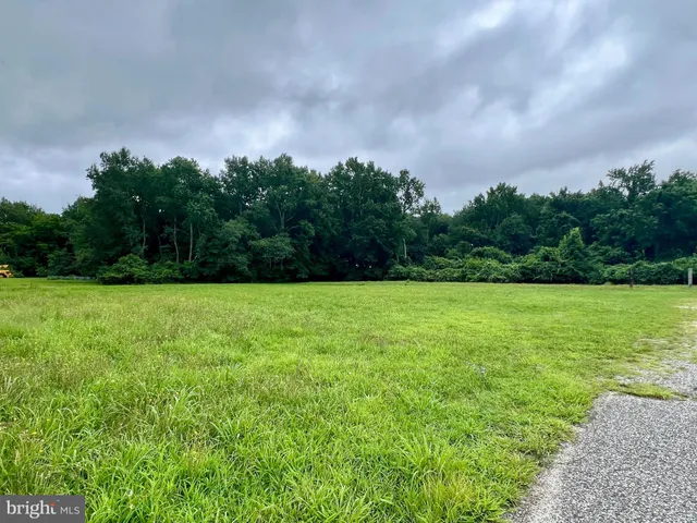 a view of a garden and basketball court