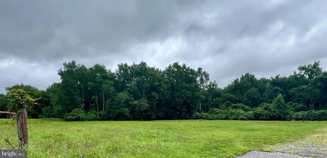 a view of a grassy field with trees in the background