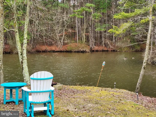 a view of lake from a window