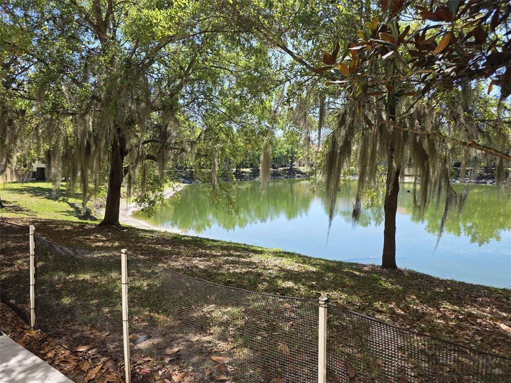 5160 Ambergris Loop Kissimmee, FL 34746 - Photo 36 of 38 a backyard of a house with lots of green space