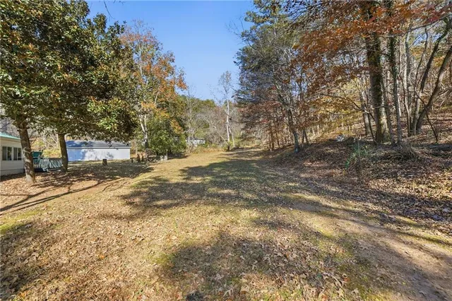 a view of a yard with tree s