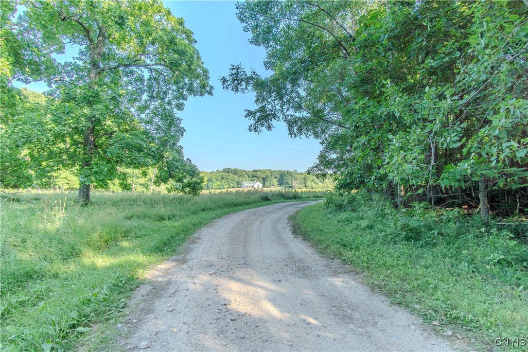 40790 Head Island Road Clayton, NY 13624 - Photo 13 of 49 Head Island Rd, access to Potters Beach, Winery, P