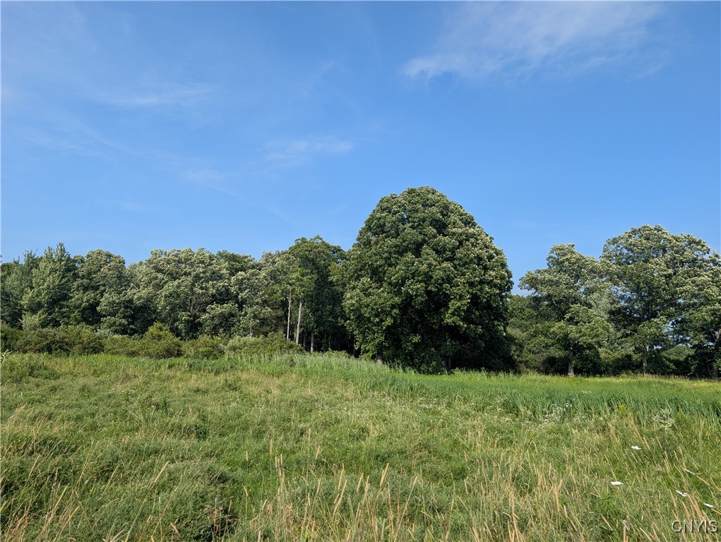 40790 Head Island Road Clayton, NY 13624 - Photo 48 of 49