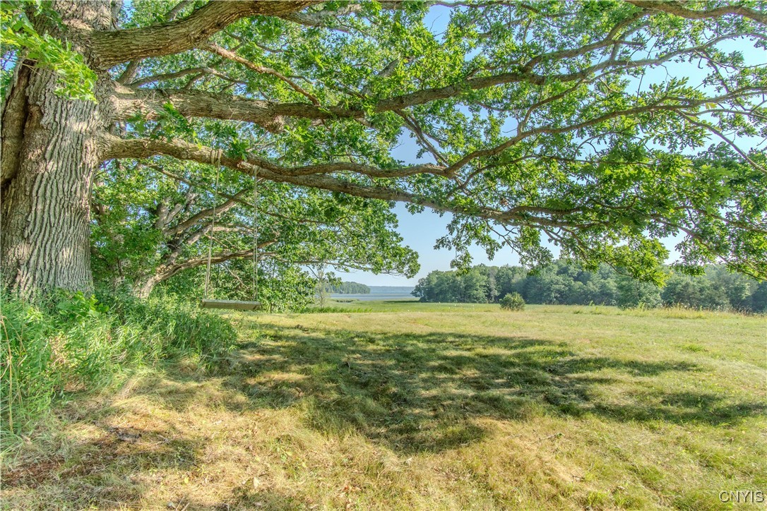 40790 Head Island Road Clayton, NY 13624 - Photo 6 of 49