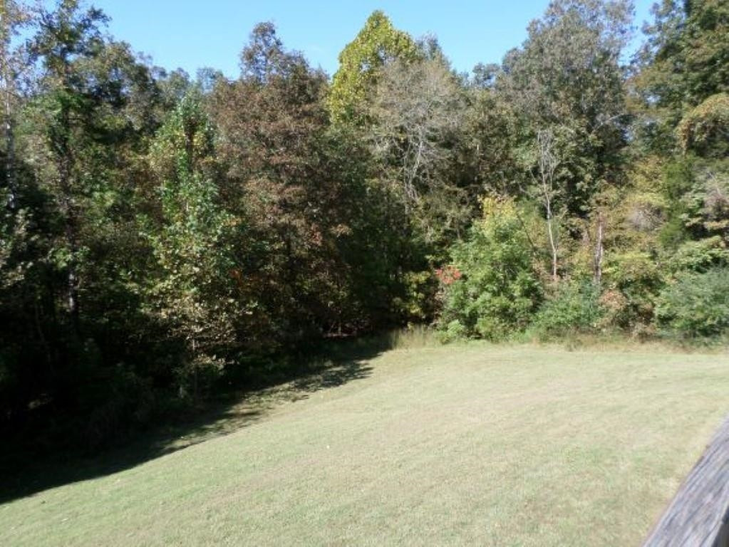 107 Ole Cabin Road Roxboro, NC 27574 - Photo 14 of 19 Yard