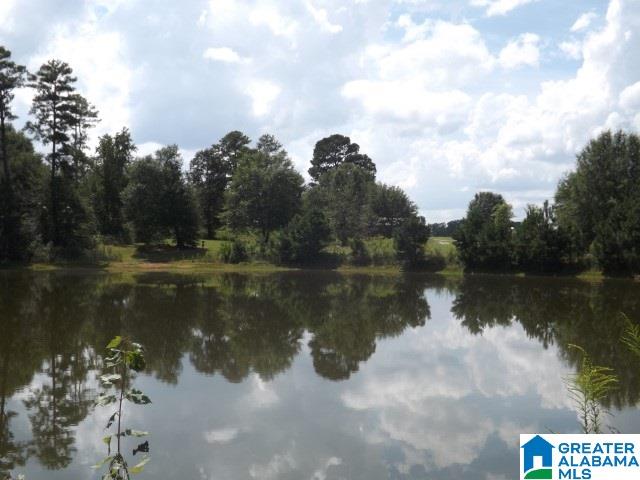 435 Wow Road, Unit 59 Blountsville, AL 35031 - Photo 25 of 49