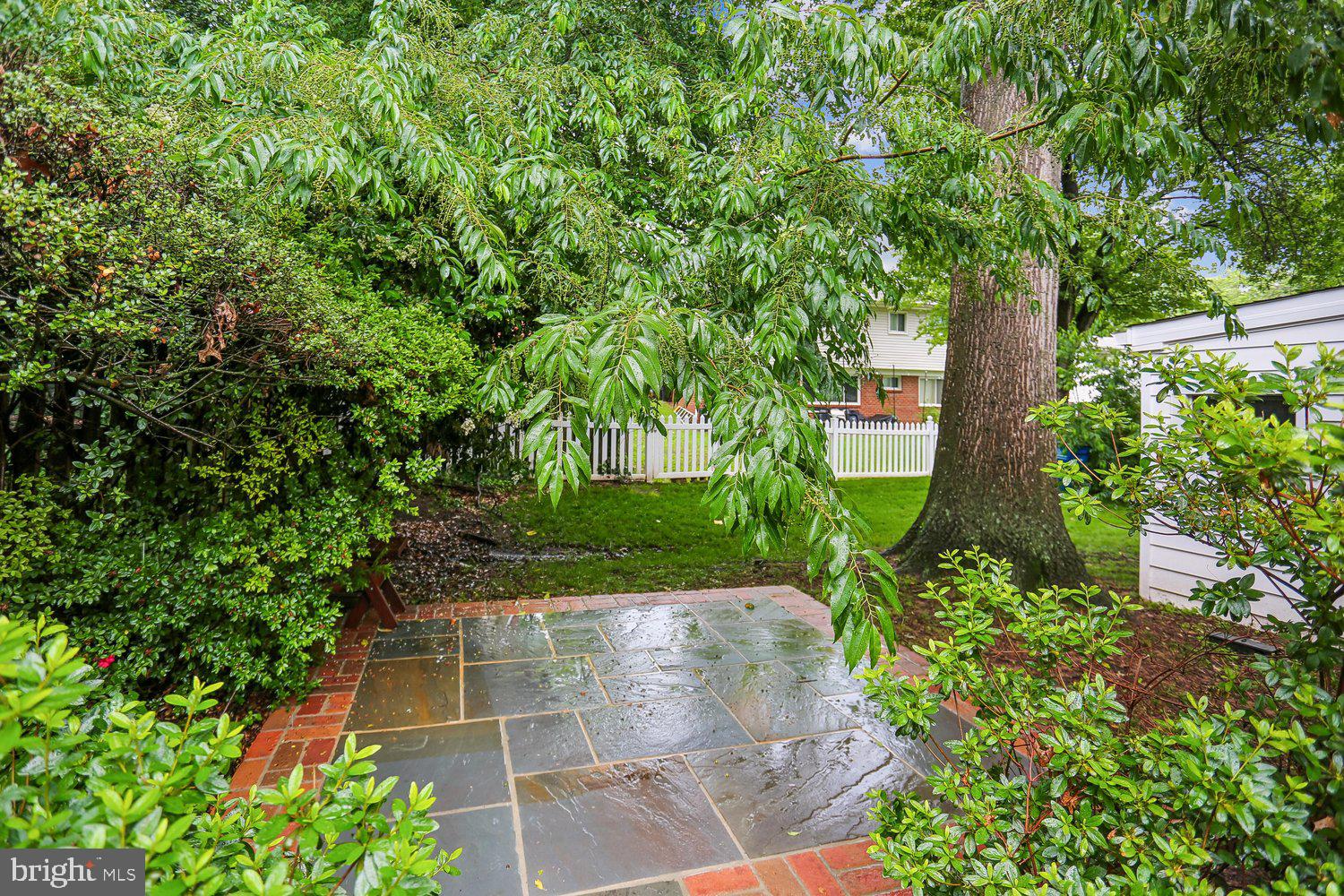 907 Hoyt Street Silver Spring, MD 20902 - Photo 61 of 69 a view of yard with green space