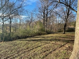 124 Stamp Creek Road Salem, SC 29676 - Photo 14 of 27 Gallery Image 14
