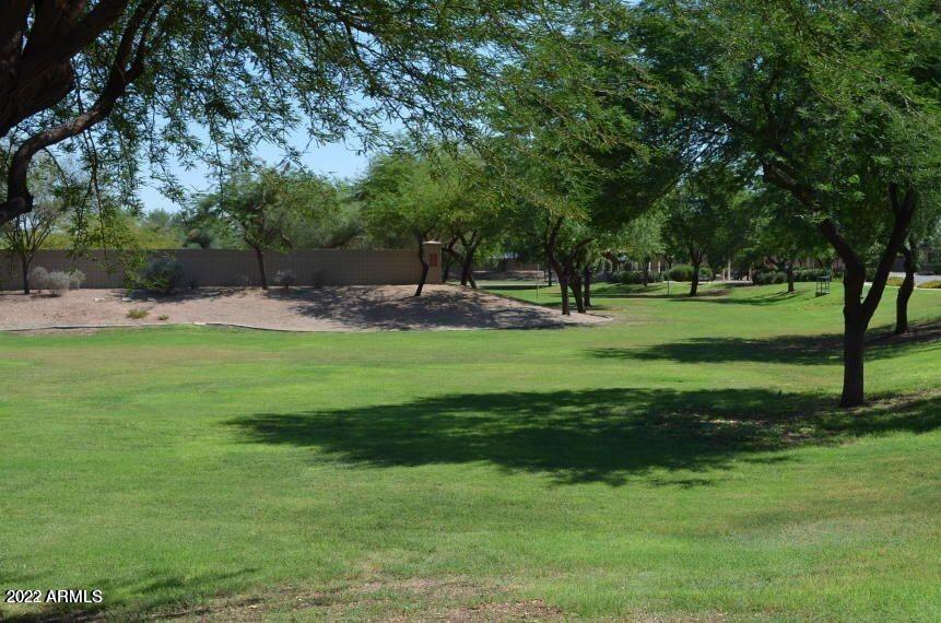 14238 West Coronado Road Goodyear, AZ 85395 - Photo 34 of 38 20210625142501040078000000-o