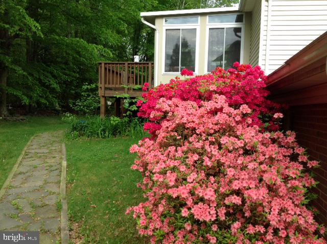9413 Retriever Road Springfield, VA 22153 - Photo 2 of 14 Beautiful backyard