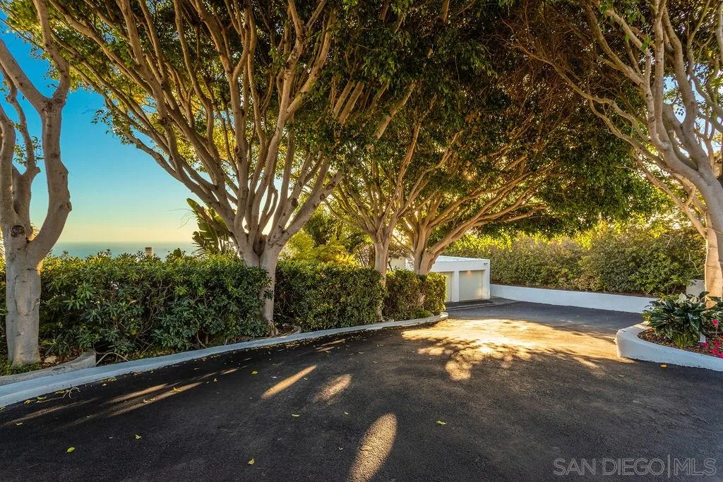 925 Havenhurst Drive La Jolla, CA 92037 - Photo 6 of 17 a view of yard with large trees
