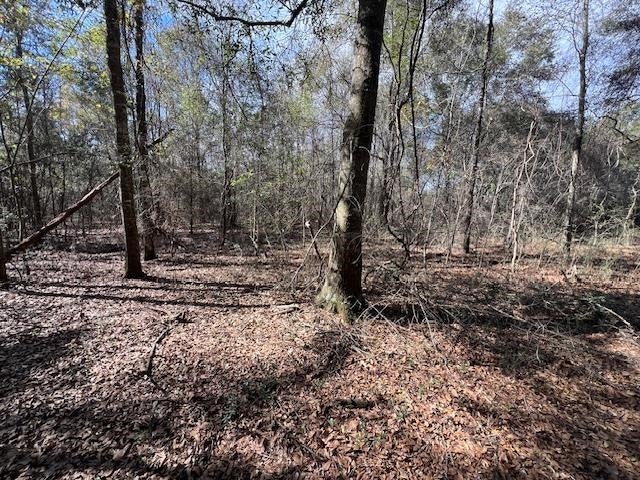 14-ac Potter Road Opp, AL 36467 - Photo 24 of 42 Gallery Image 24