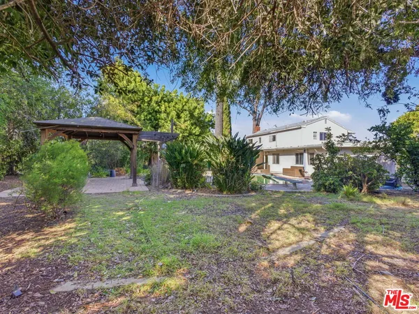 a view of a yard with plants and large trees