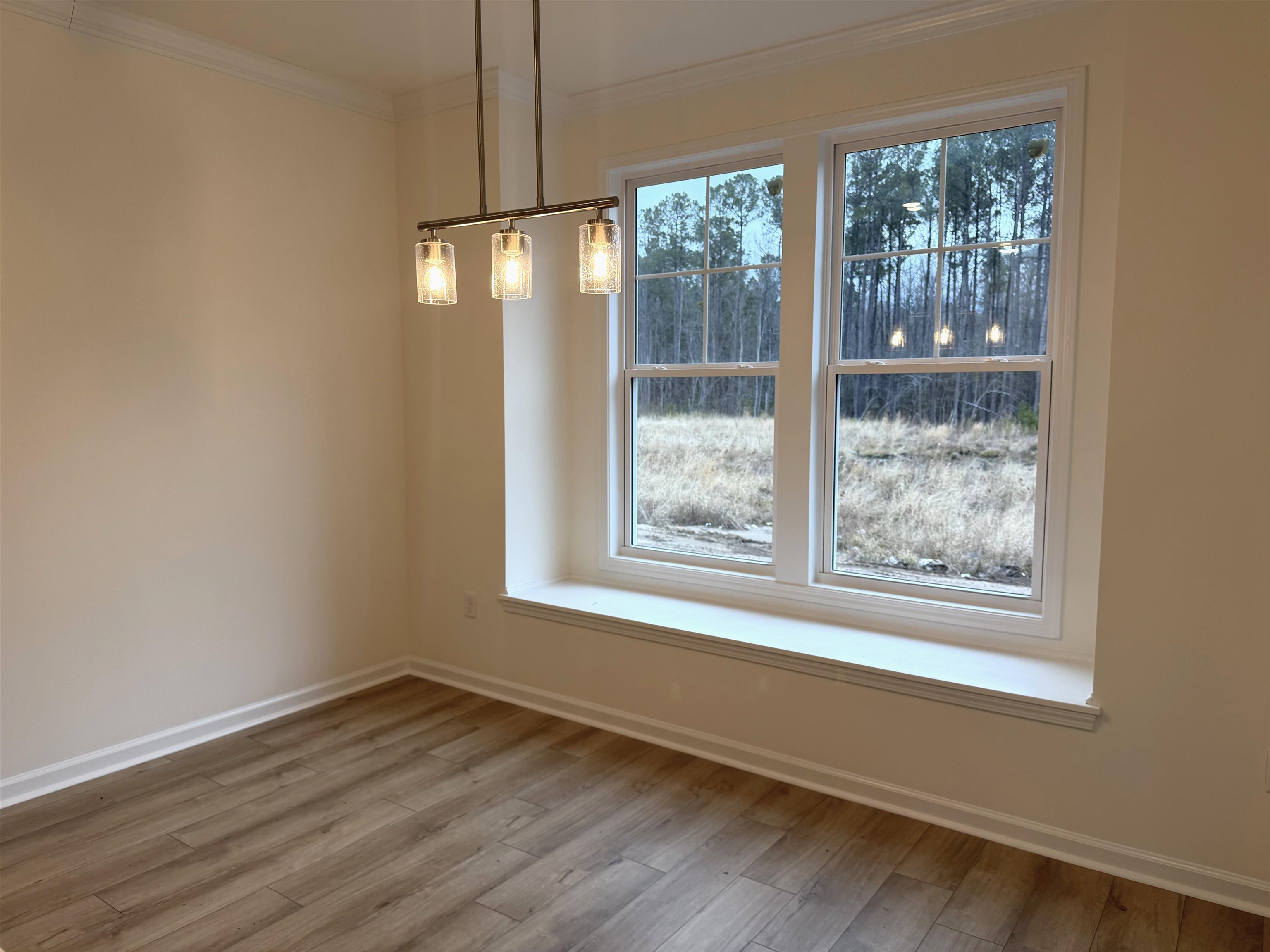 3040 Gadwall Drive Aynor, SC 29511 - Photo 10 of 27