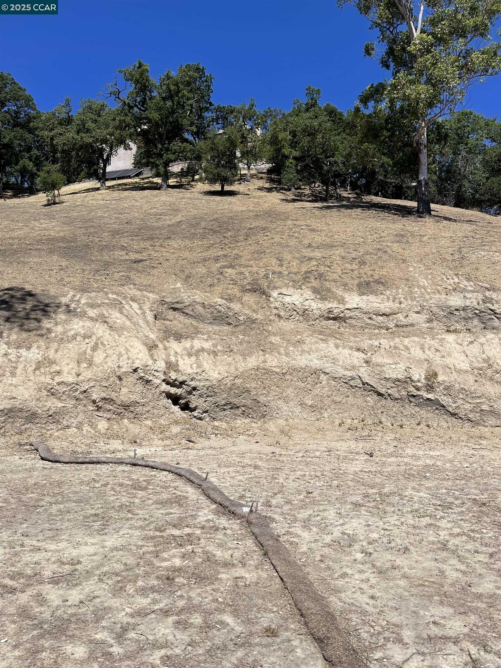 221 Dean Road Alamo, CA 94507 - Photo 24 of 31
