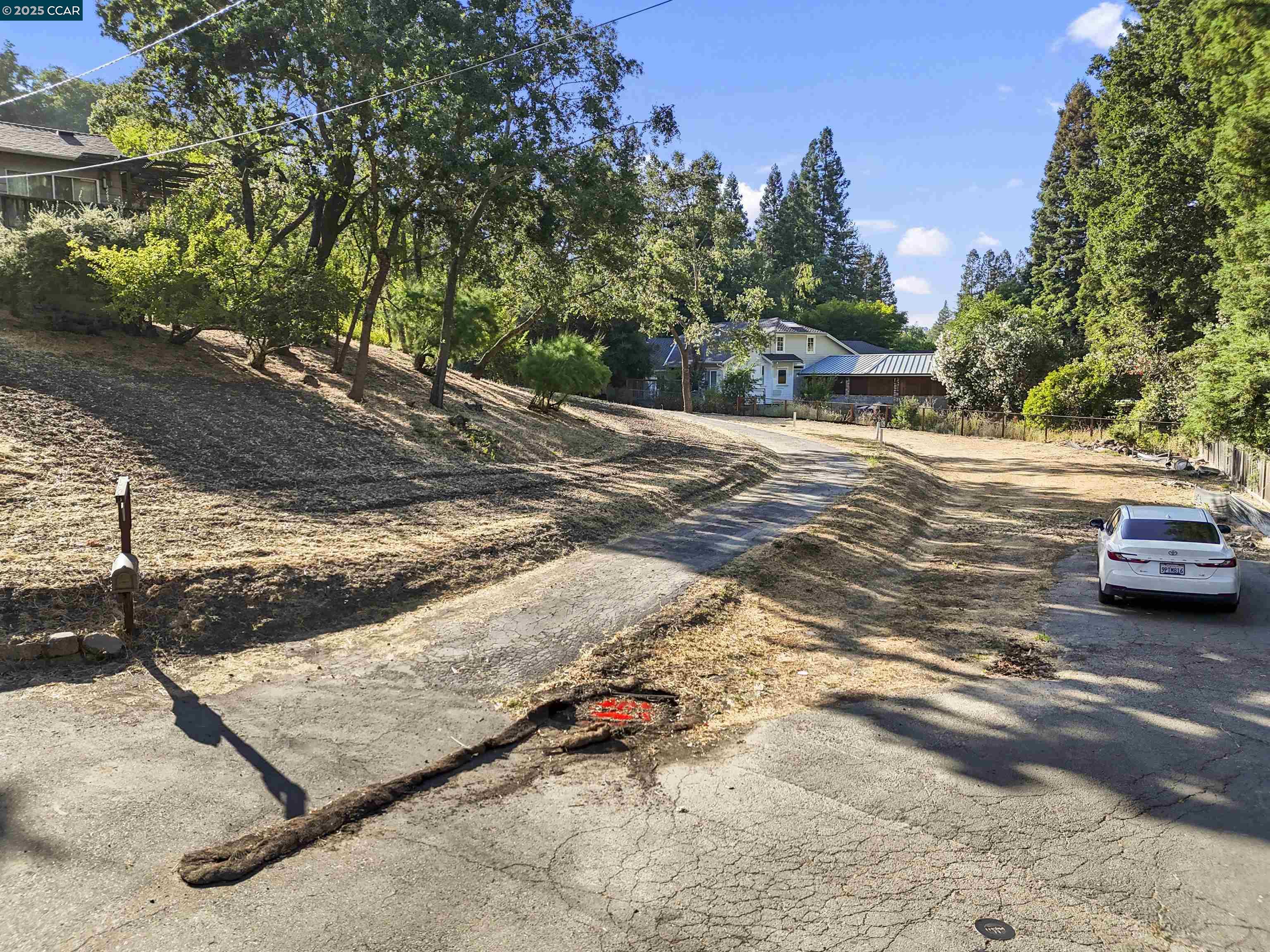 221 Dean Road Alamo, CA 94507 - Photo 6 of 31