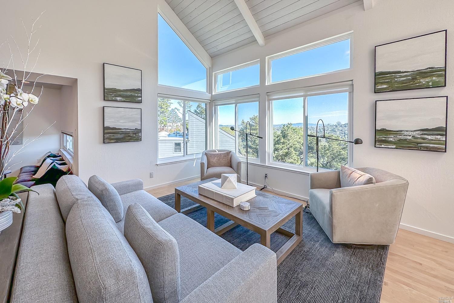 432 Durant Way Mill Valley, CA 94941 - Photo 12 of 69 a living room with furniture and a window