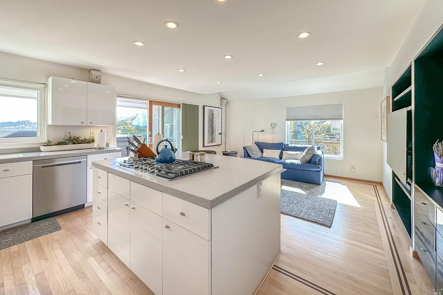 432 Durant Way Mill Valley, CA 94941 - Photo 23 of 69