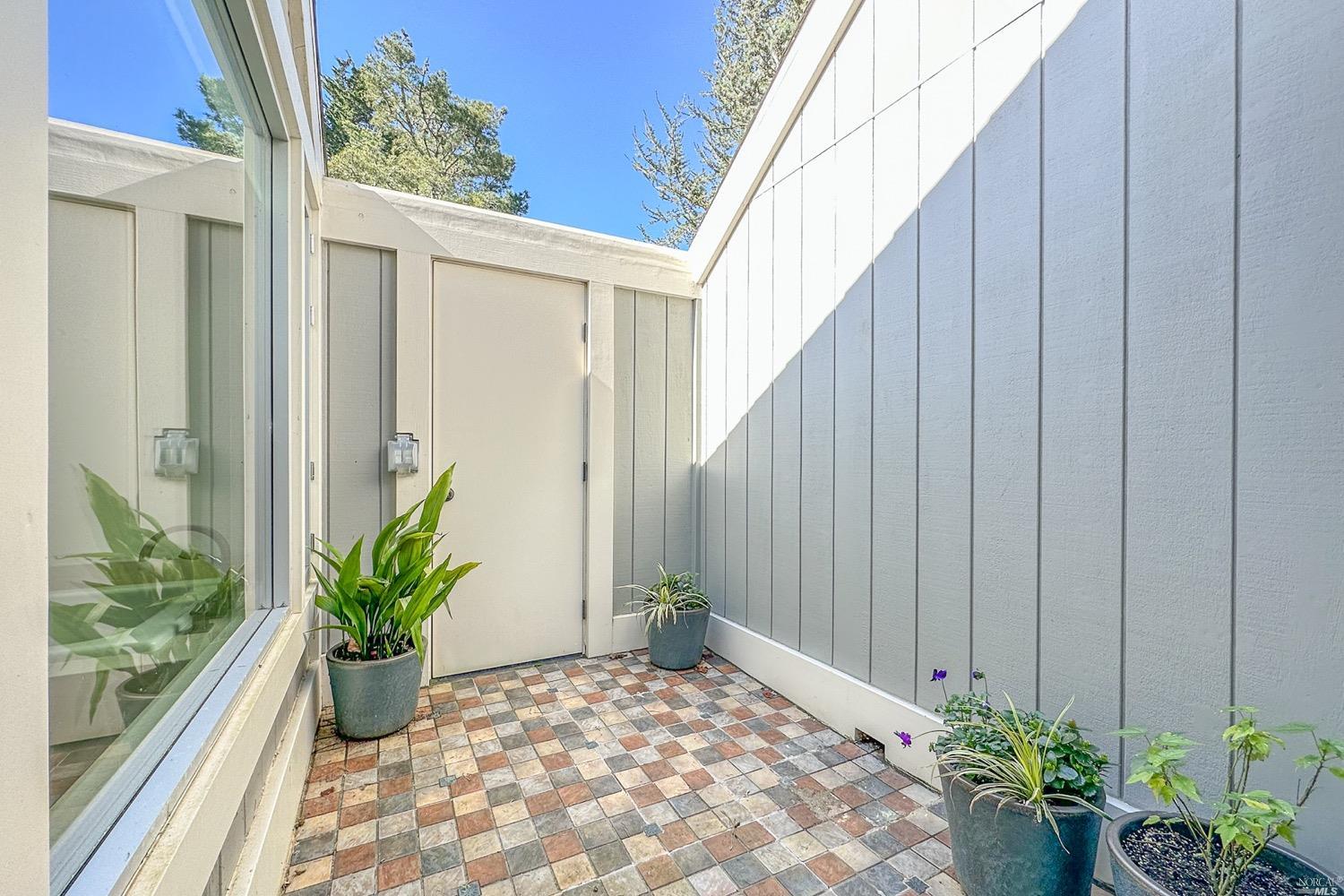432 Durant Way Mill Valley, CA 94941 - Photo 39 of 69 a potted plant sitting in front of a glass door