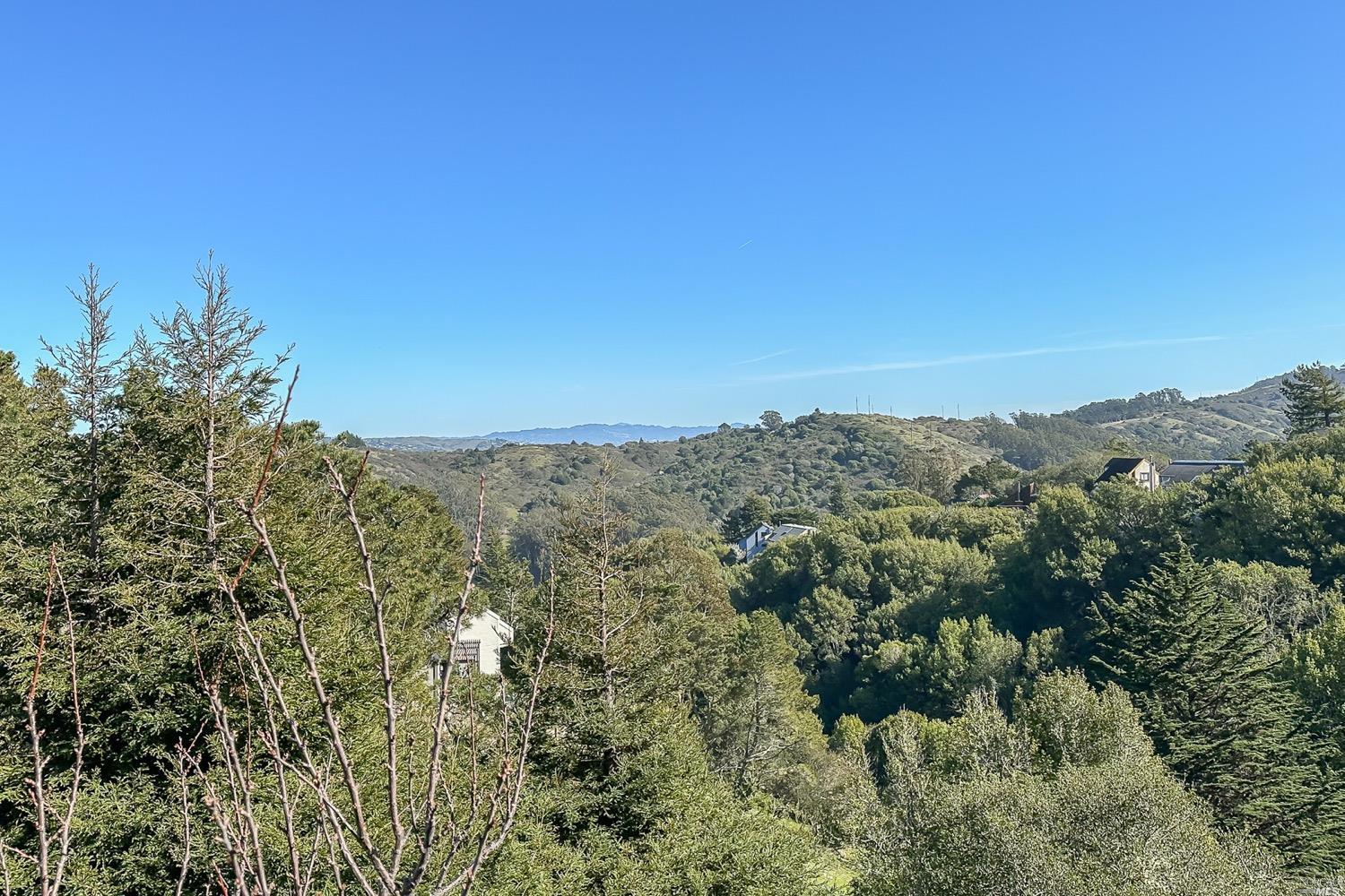 432 Durant Way Mill Valley, CA 94941 - Photo 56 of 69