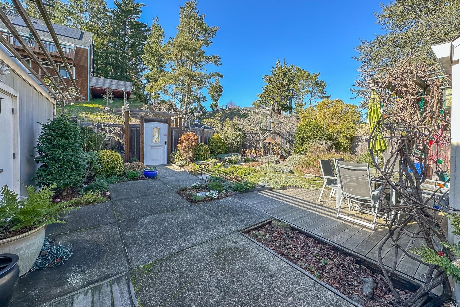 432 Durant Way Mill Valley, CA 94941 - Photo 67 of 69 a front view of a house with a yard and potted plants