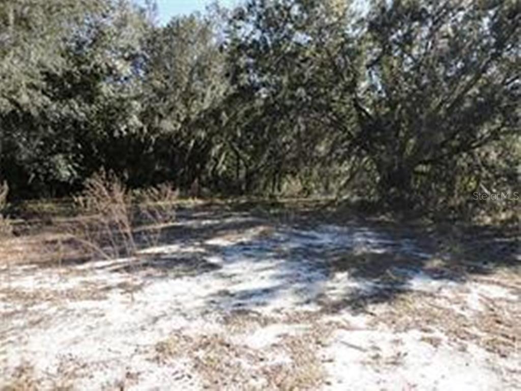 Lot 24 Florida Boys Ranch Road Clermont, FL 34711 - Photo 1 of 1 Gallery Image 1