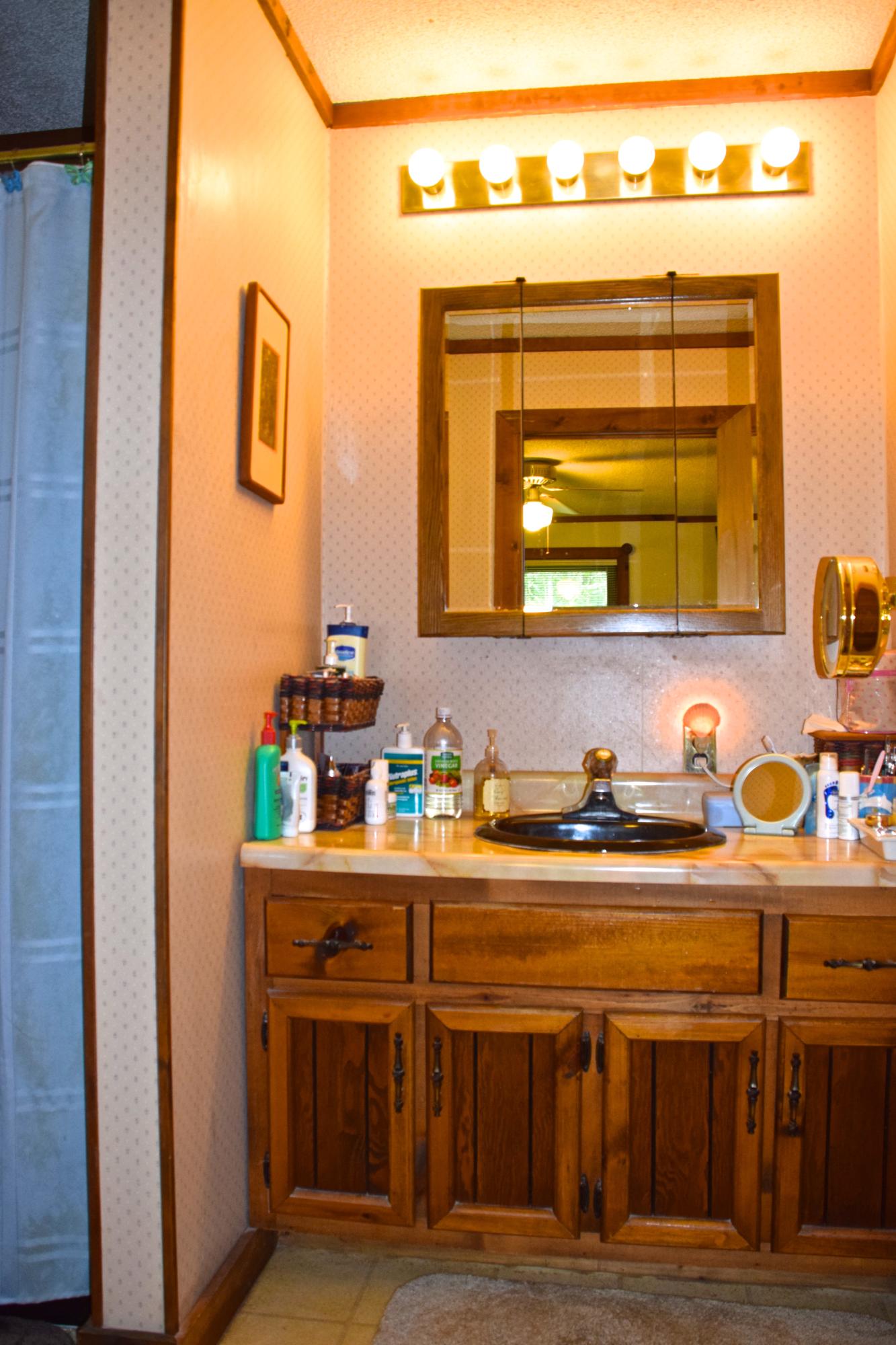 285 County Road 67 Riceville, TN 37370 - Photo 22 of 30 22 Master Bathroom