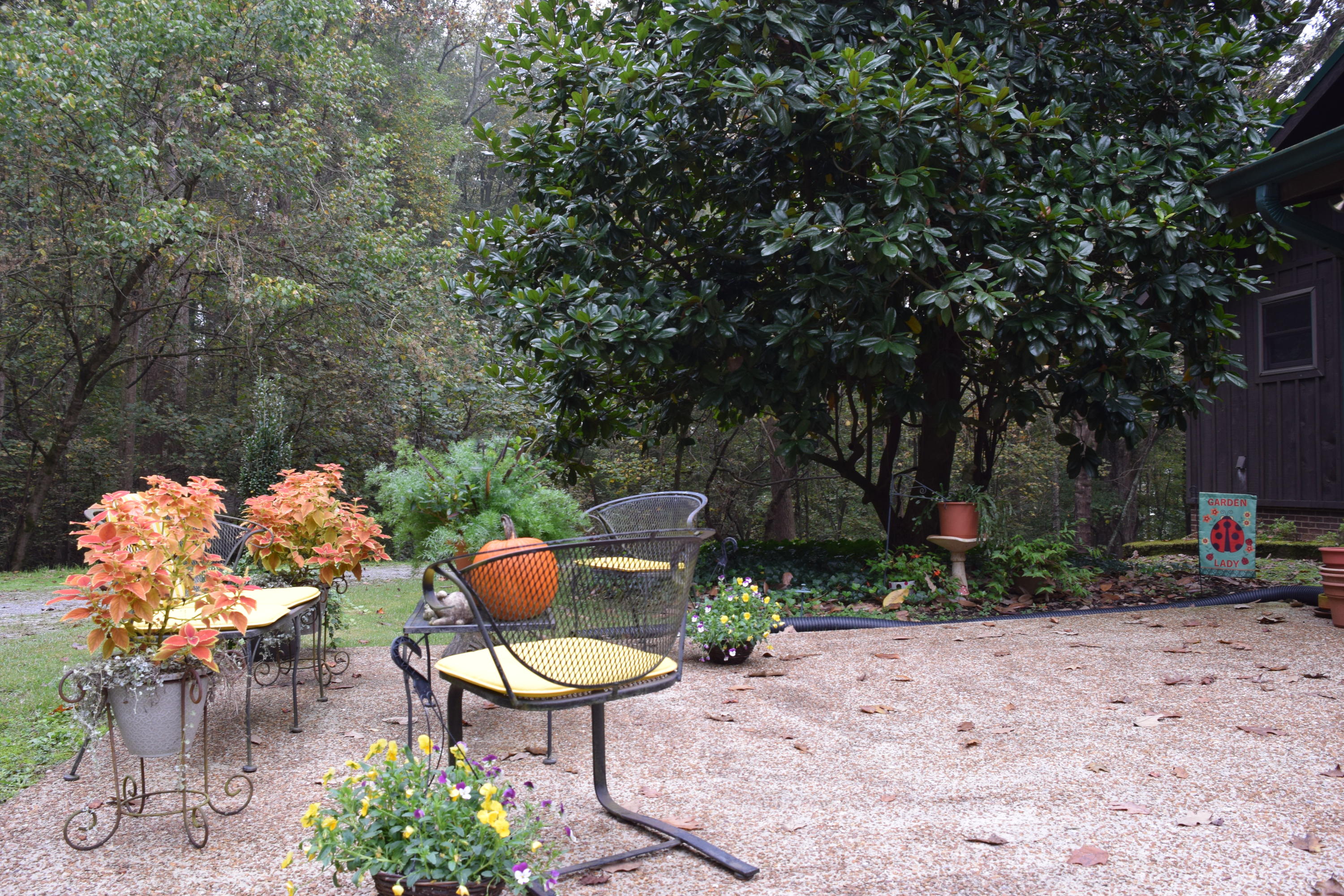 285 County Road 67 Riceville, TN 37370 - Photo 24 of 30 24 Patio
