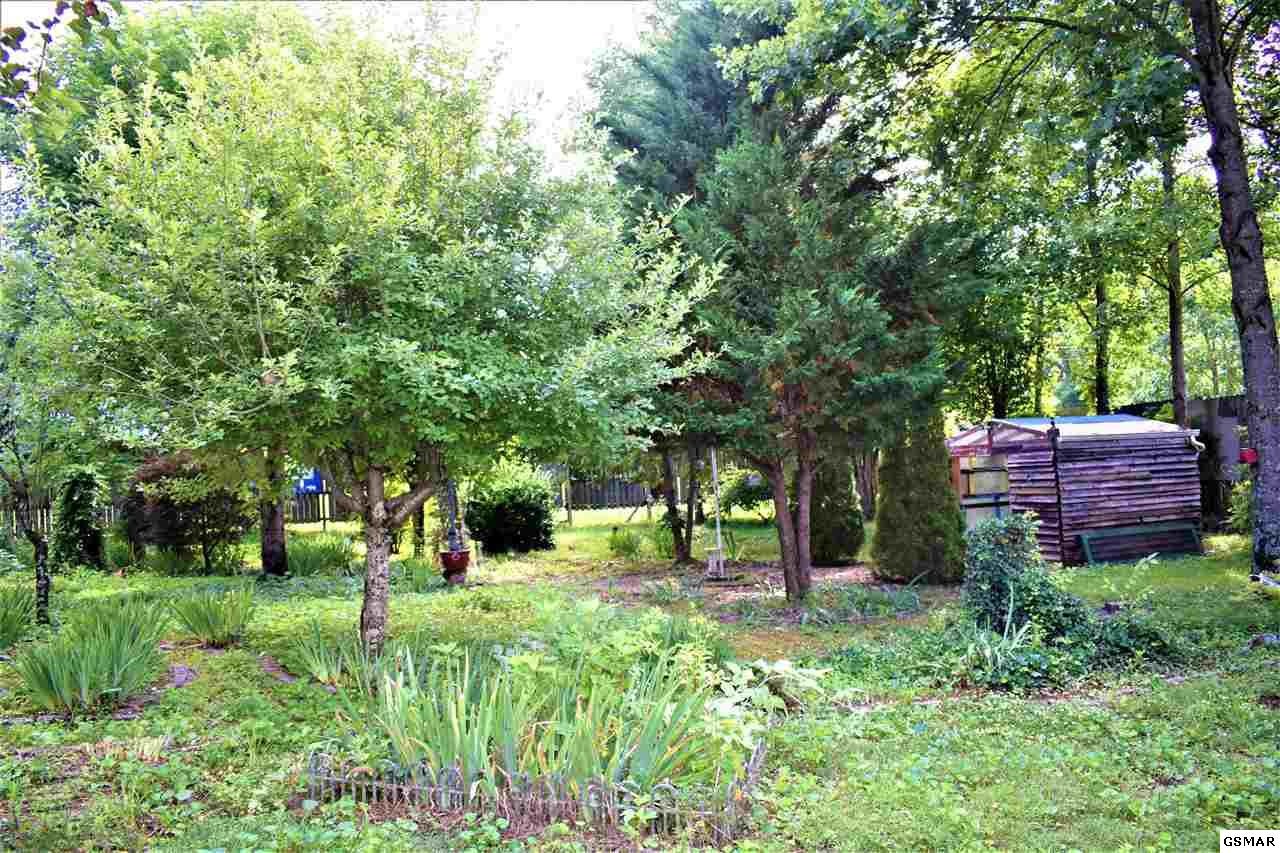 532 Cline Road Dandridge, TN 37725 - Photo 23 of 27 Gallery Image 23
