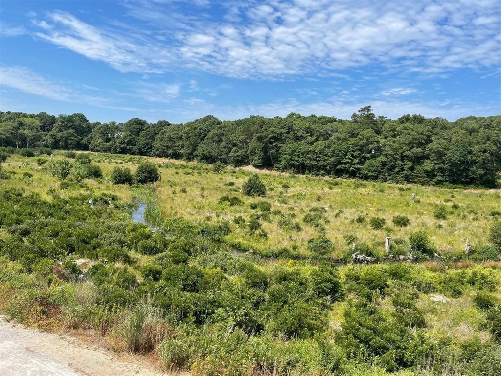 264 John Parker Road Falmouth, MA 02536 - Photo 40 of 41 a view of a lake with a yard