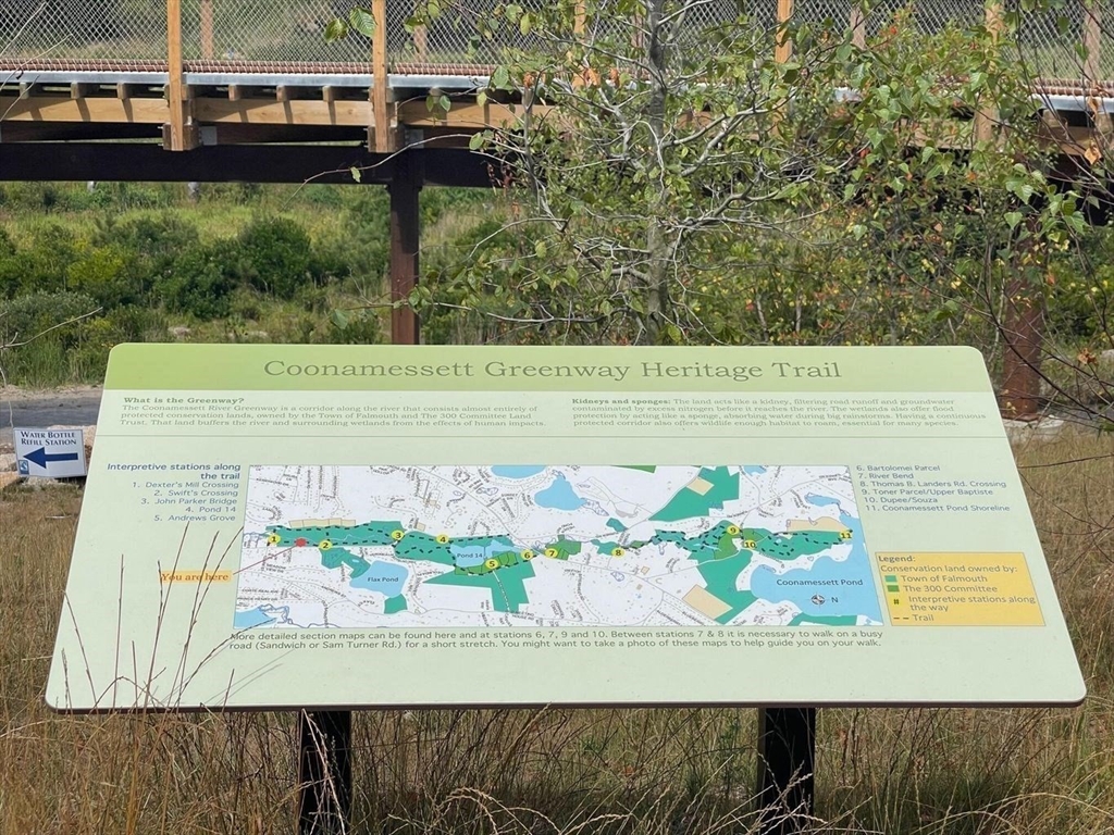 264 John Parker Road Falmouth, MA 02536 - Photo 41 of 41 a view of a back yard