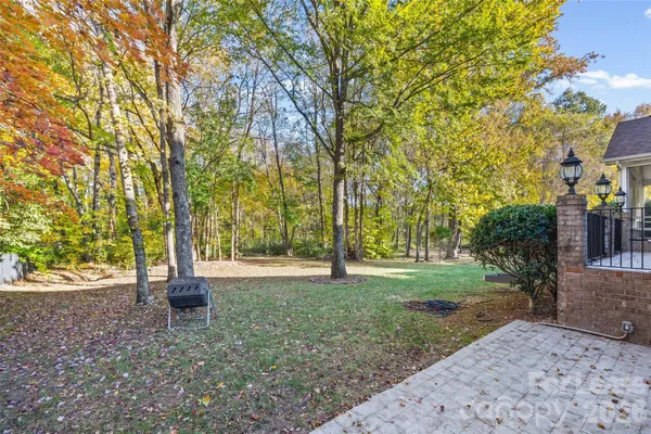 a park with large trees