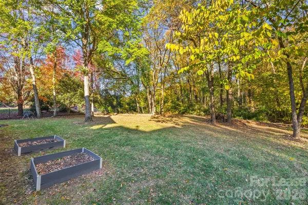 a view of backyard with green space