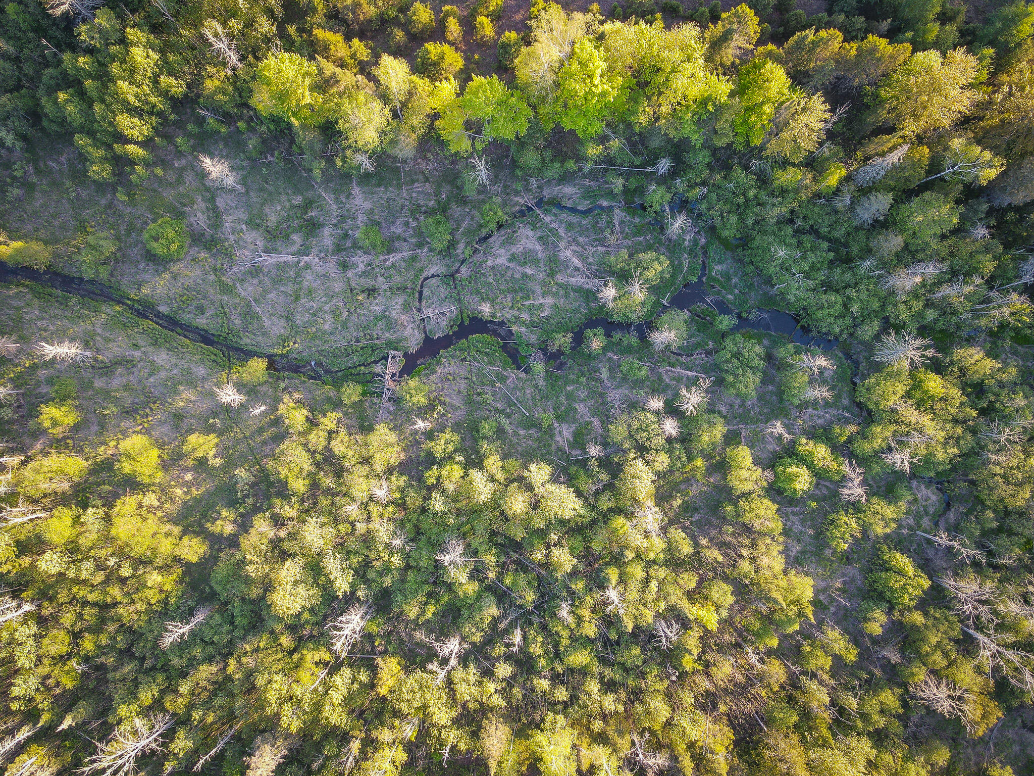 V/l V/l 33rd Road Perkins, MI 49872 - Photo 7 of 70 DJI_0162