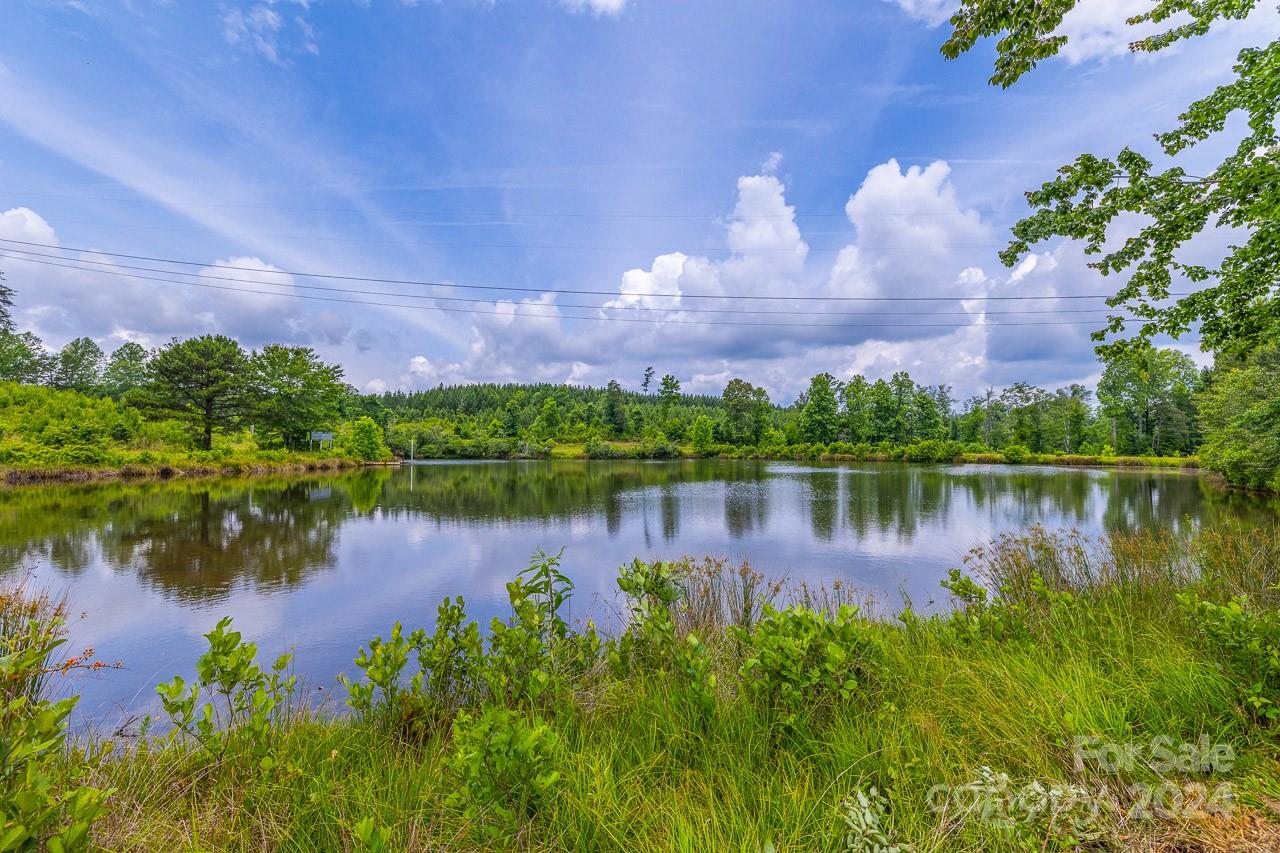 73 Pond View Lane, Unit 66 Rutherfordton, NC 28139 - Photo 7 of 14