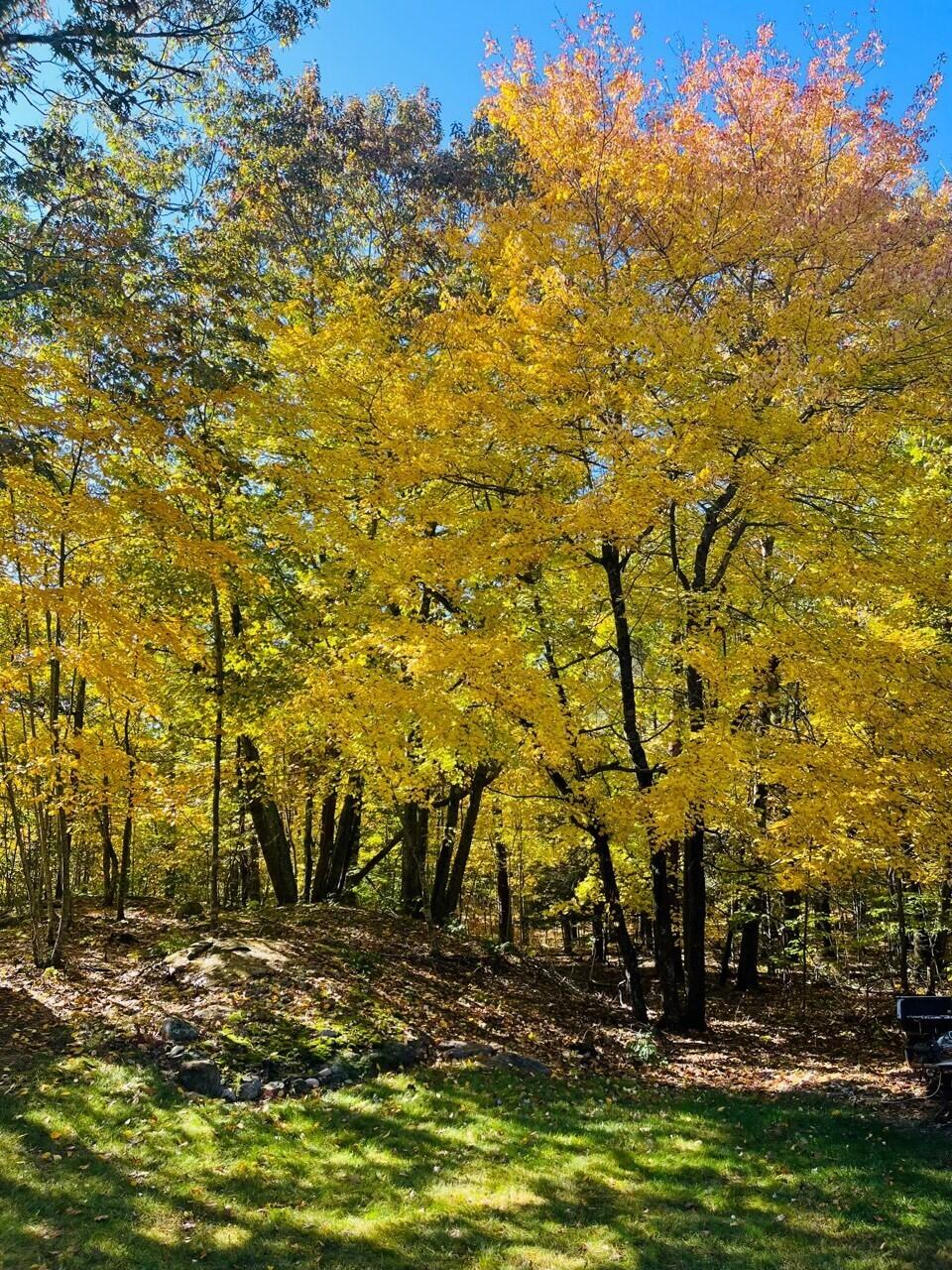 2 Rachel Way Cape Neddick, ME 03902 - Photo 6 of 38 1