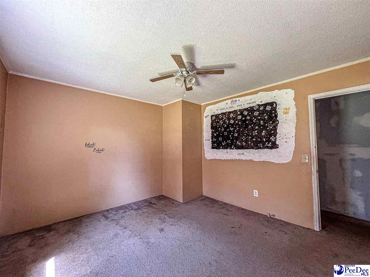 2398 State Rd S-14-28 Alcolu, SC 29001 - Photo 30 of 51 Gallery Image 30