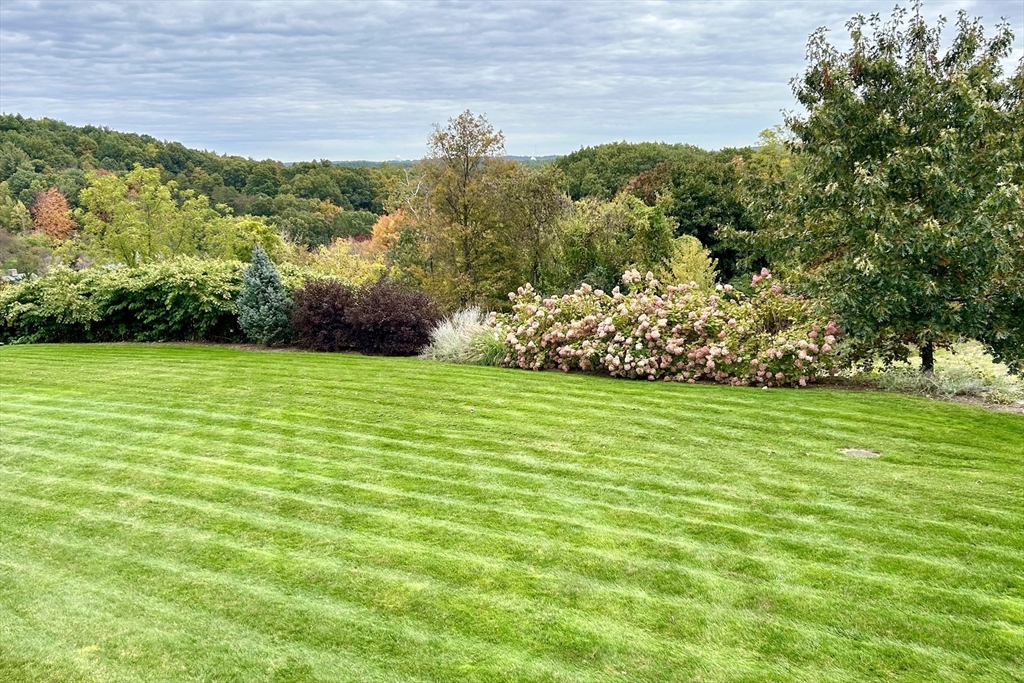 63 Skyfields Drive Groton, MA 01450 - Photo 29 of 40 a view of a field with an trees