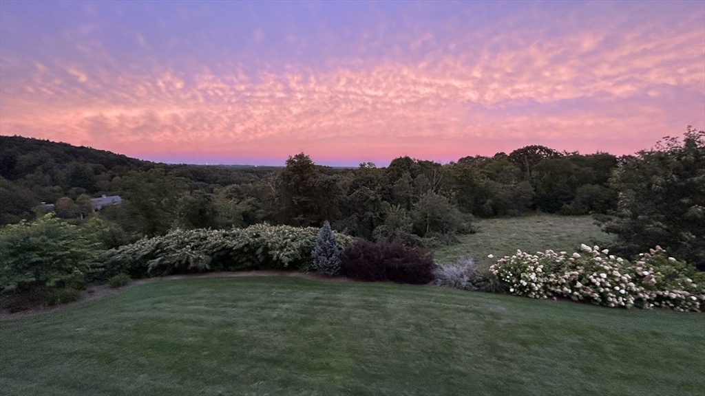 63 Skyfields Drive Groton, MA 01450 - Photo 30 of 40 a view of a field with a lot of trees